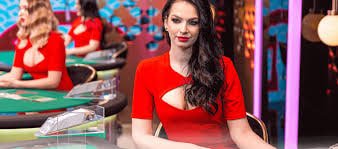 8gpm VIP အဆင့်မြင့် ဆုကြေးနှင့် Cashback အစီအစဉ်